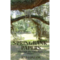 Springbank Papers: Through the Sun's Eyes - Paperback