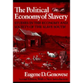 The Political Economy of Slavery: Studies in the Economy and Society of the Slave South - Paperback