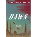 Dawn: Stories - Hardcover