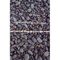 Numinous Seditions: Interiority and Climate Change - Paperback