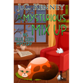 A Mysterious Mix Up - Paperback