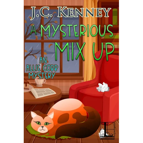 A Mysterious Mix Up - Paperback