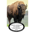 Wild Animals at Home - Hardcover