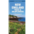 New England Trees & Wildflowers: A Folding Pocket Guide to Familiar Plants - Paperback