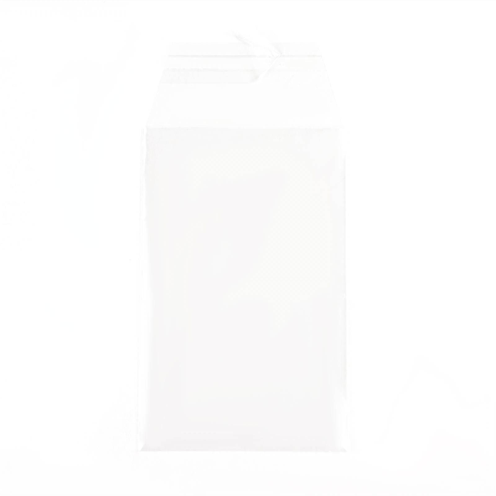Perfect Fit PSA Graded Card Sleeves (100 count)