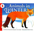 Animals in Winter - Paperback