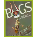 Bugs Big & Small: God Made Them All - Hardcover