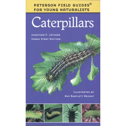 Caterpillars - Paperback