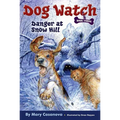 Danger at Snow Hill - Paperback