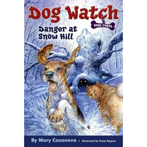 Danger at Snow Hill - Paperback