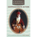 Compassionate Action - Paperback