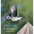 A Blue Jay is Hungry - Hardcover