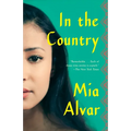 In the Country: Stories - Paperback
