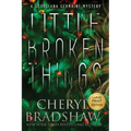 Little Broken Things, Large Print Edition - Paperback