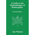 A Guide to the Methdologies of Homeopathy - Paperback