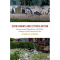 Slow Harms and Citizen Action: Environmental Degradation and Policy Change in Latin American Cities - Paperback