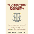 You're Getting Divorced...Now What?: The Ultimate Divorce Court Guide - Paperback