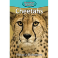 Cheetahs - Paperback