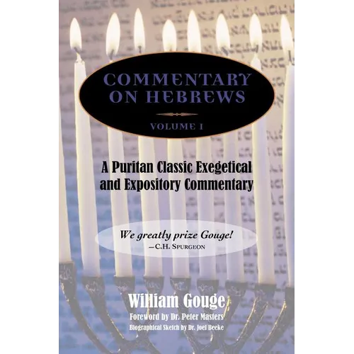 Commentary on Hebrews: Exegetical and Expository - Vol. 1 (Heb. 1-7) - Hardcover