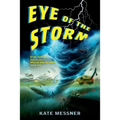 Eye of the Storm - Paperback
