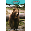 Brown Bears - Hardcover