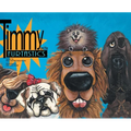 Timmy and the FurTastics - Hardcover