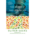 The Island of the Colorblind - Paperback