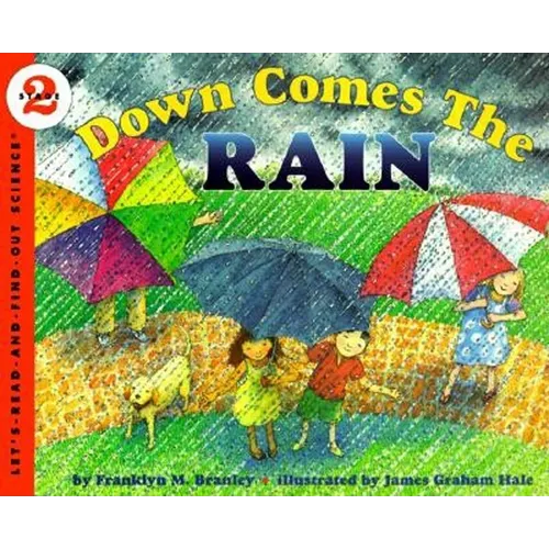 Down Comes the Rain - Paperback