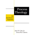 Process Theology - Paperback