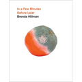 In a Few Minutes Before Later - Hardcover