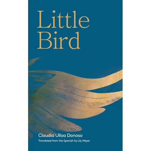Little Bird - Paperback