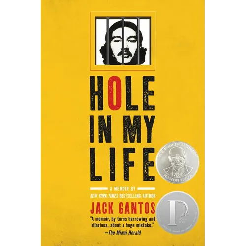 Hole in My Life - Paperback