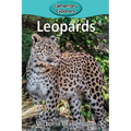 Leopards - Paperback