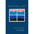 What Will Last - Paperback
