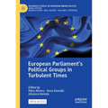 European Parliament's Political Groups in Turbulent Times - Paperback