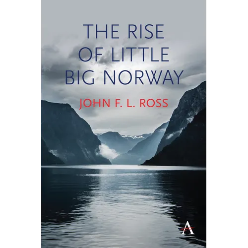 The Rise of Little Big Norway - Paperback