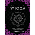 A Little Bit of Wicca: An Introduction to Witchcraft - Hardcover