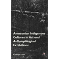 Amazonian Indigenous Cultures in Art and Anthropological Exhibitions - Paperback