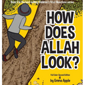 How Does Allah Look? - Hardcover