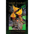 Small Wonders - Paperback