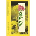 Milkweed Smithereens - Paperback
