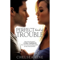 Perfect Kind of Trouble - Paperback