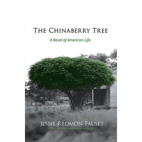 The Chinaberry Tree: A Novel of American Life - Paperback