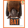 Bat - Paperback