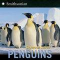 Penguins - Paperback