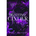 Igniting Cinder: A Spicy Cinderella Retelling (The Lost Girls Book 3) - Paperback
