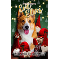 Evil Elves - Paperback