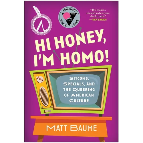 Hi Honey, I'm Homo!: Sitcoms, Specials, and the Queering of American Culture - Paperback