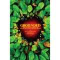 Grounded: The Untold Story of Peter Pan & Captain Hook - Paperback