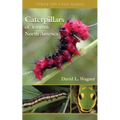 Caterpillars of Eastern North America: A Guide to Identification and Natural History - Paperback